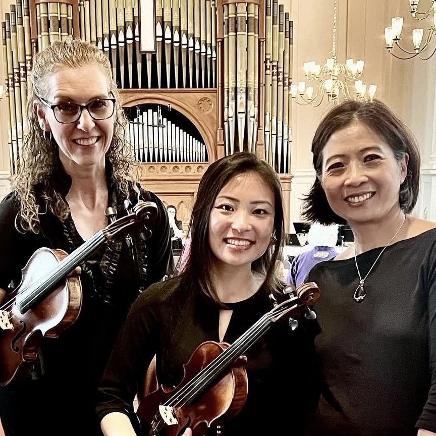 Violin 5